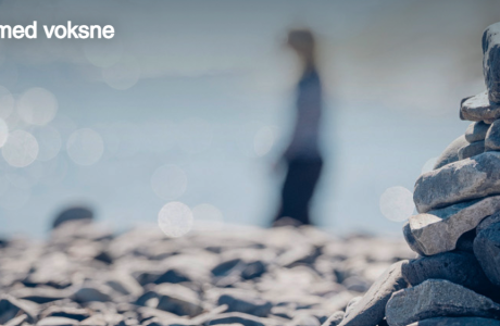 Forsidebilde traumebehandling.no