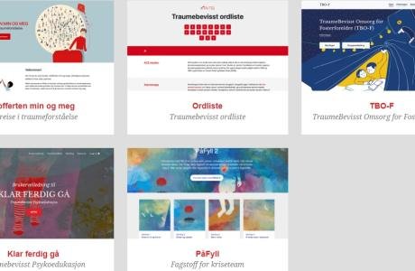 Foto av nettside om traumebevisste prosjekt, RVTS Sør